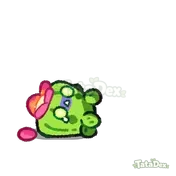 Cactobud Disable animation preview